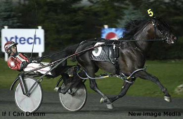 Dreaming Of A Cup Win