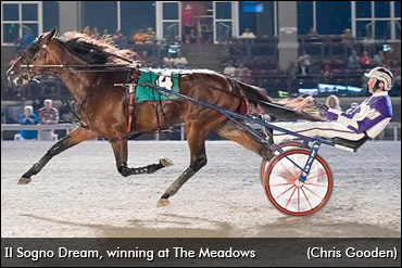 Il Sogno Dream To Stand Stud