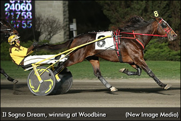 Il Sogno Dream Retired From Racing