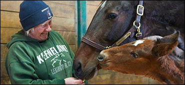 Survival: The Fight Of A Lifetime