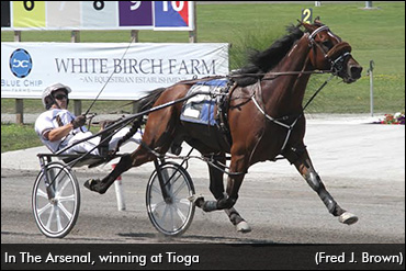 Why In The Arsenal Skipped The Jug