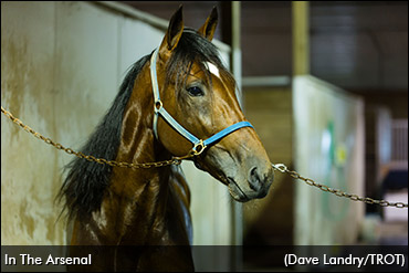 In The Arsenal's Best Still To Come