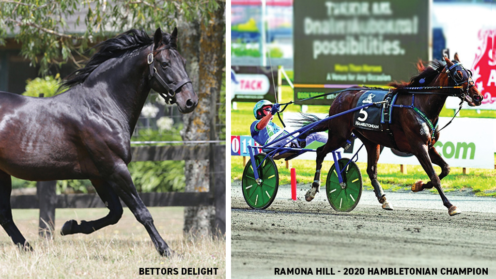 BettorsDelight & RamonaHill
