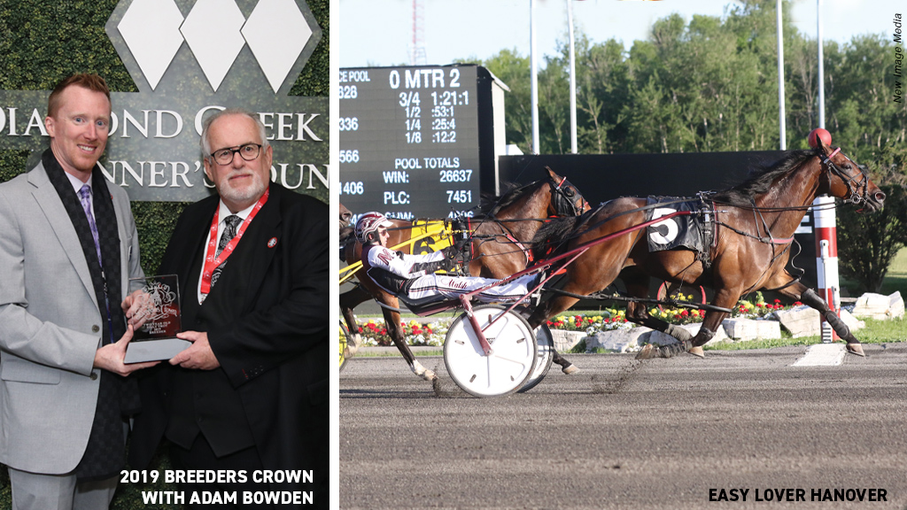 Easy Lover Hanover