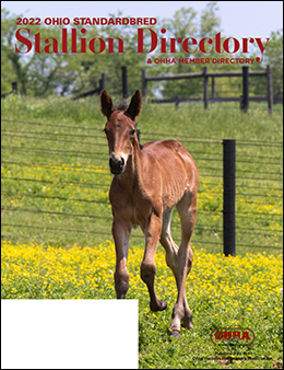 Cover of 2023 Ohio Stallion Directory