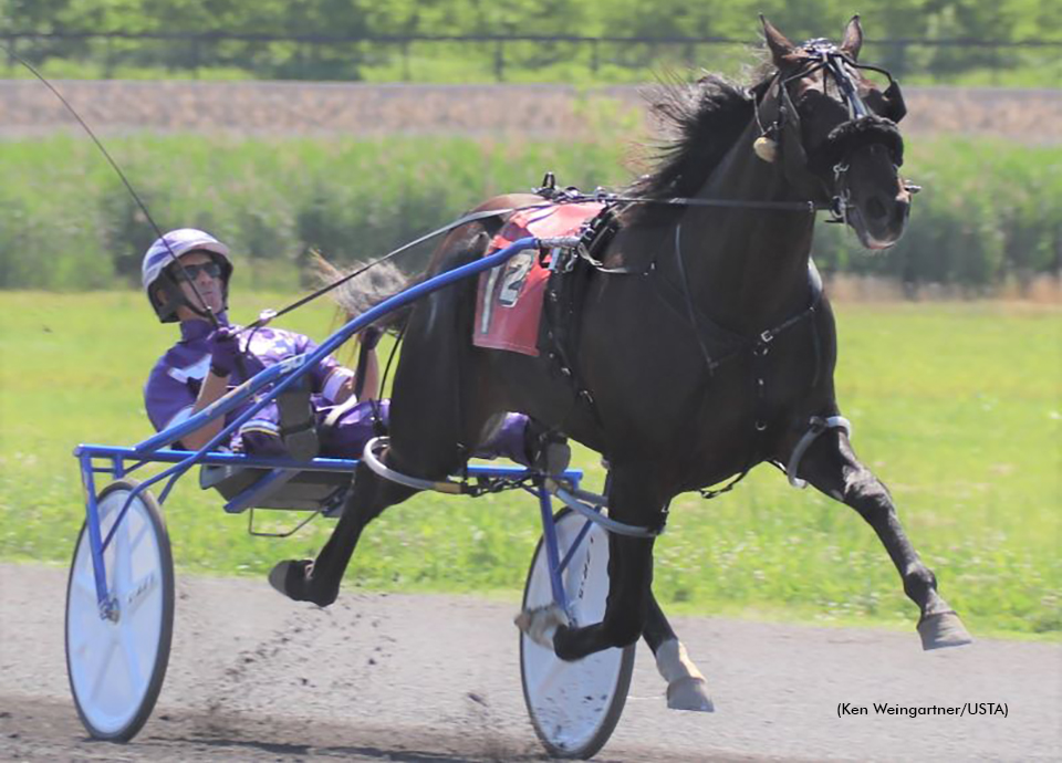 Ammo winning his qualifying debut on June 6 at Gaitway Farm