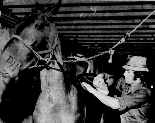 Student at the Anderson School