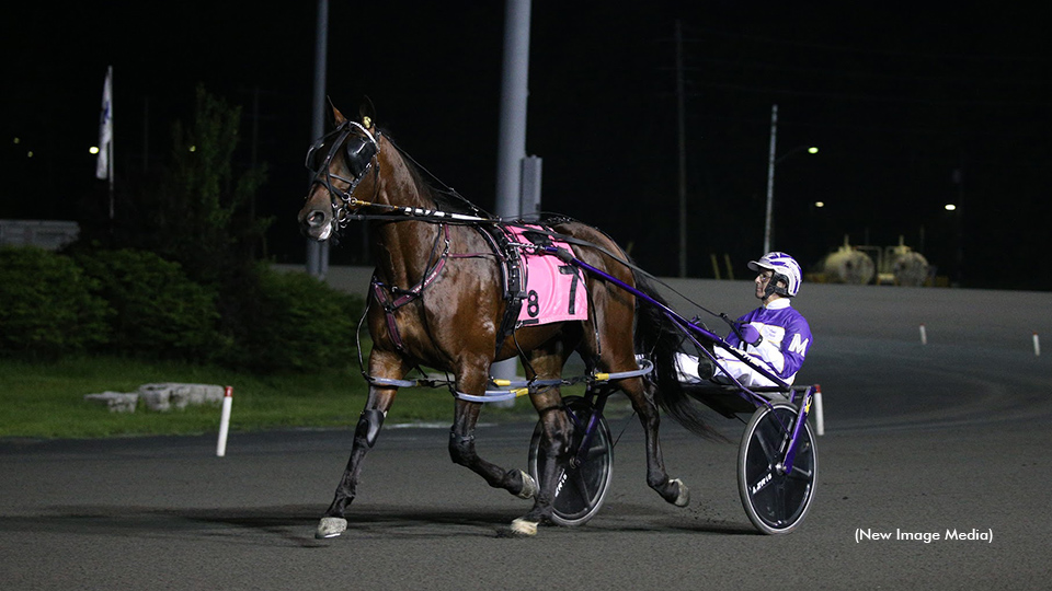 Ario Hanover post parading for the North America Cup eliminations