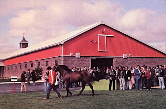 Armbro Farm Open House