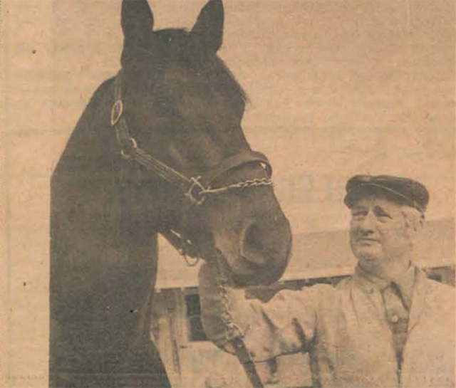 Joe O'Brien with Armbro O'Brien