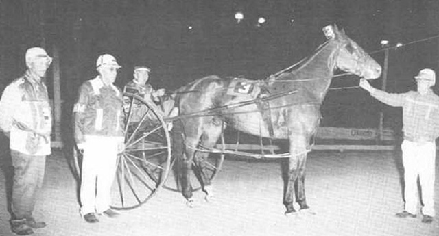 A horse in the winner's circle pulling an old cart