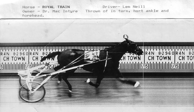 A photo finish shot of a horse with no driver at the wire