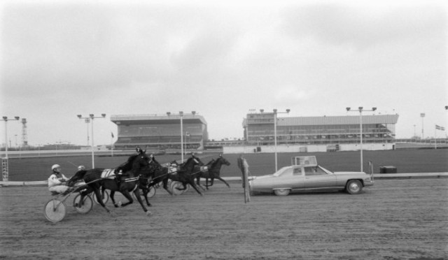 Blue Bonnets backstretch view