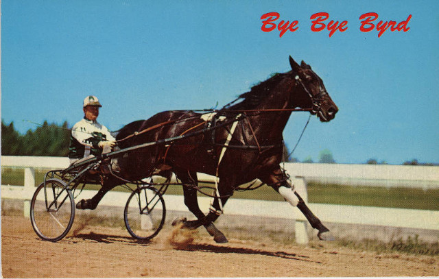 Bye Bye Byrd postcard