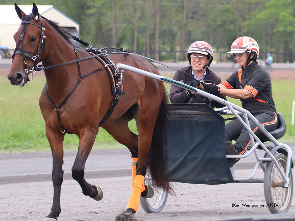 Craig Coughlin in rein to Standardbred trotter Spendthemoneyhoney at Gaitway Farms