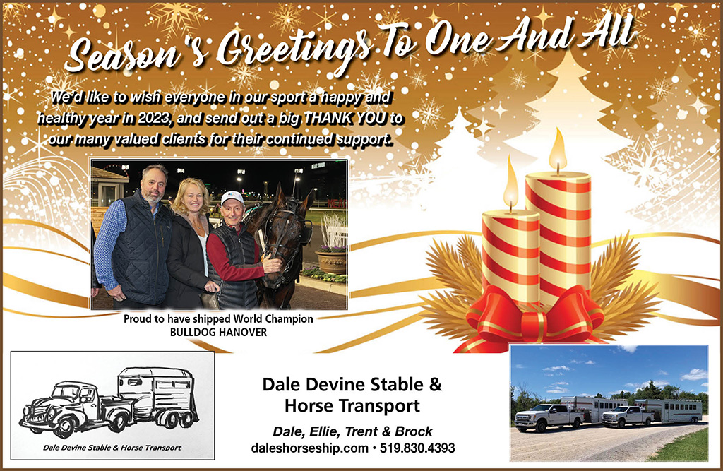 Dale Devine Horse Transport