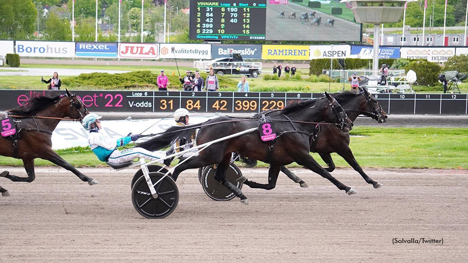 Don Fanucci Zet in the stretch of the first Elitlloppet trial