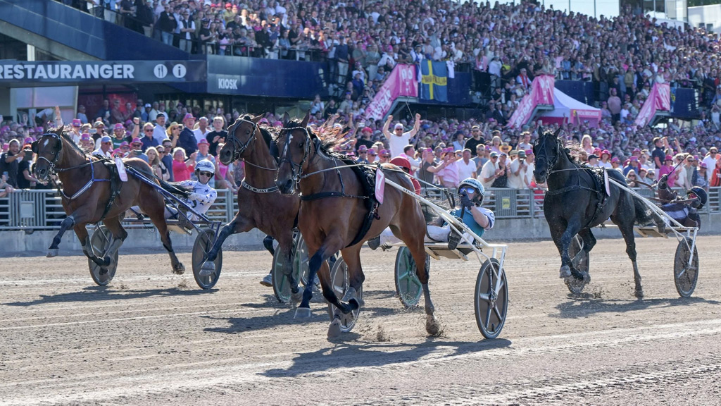 Elitlopp