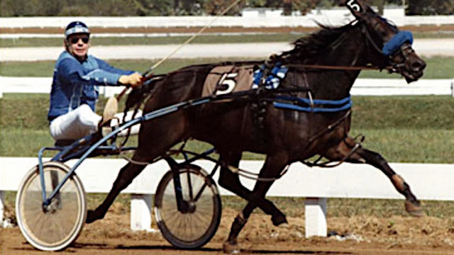 Fan Hanover
