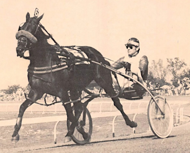 Fan Hanover