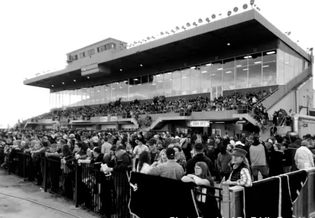 Fans at Marquis Downs