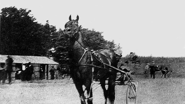 Horse races in Belfast, PEI