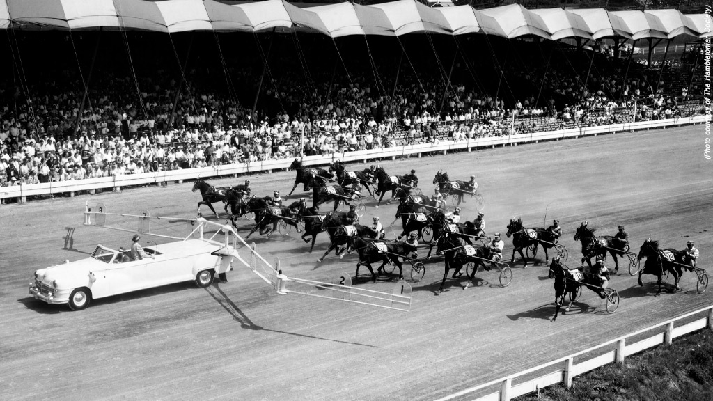 Hambo100