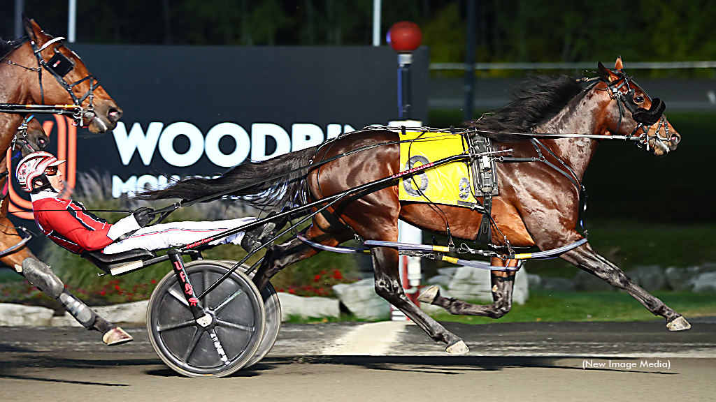 Handlelikeaporsche winning at Woodbine Mohawk Park