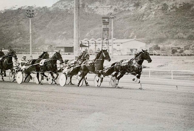 Horses racing down the stretch in Macau