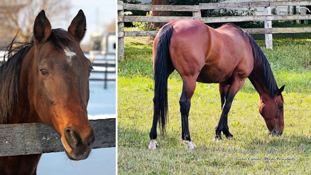 Hyperion Hanover