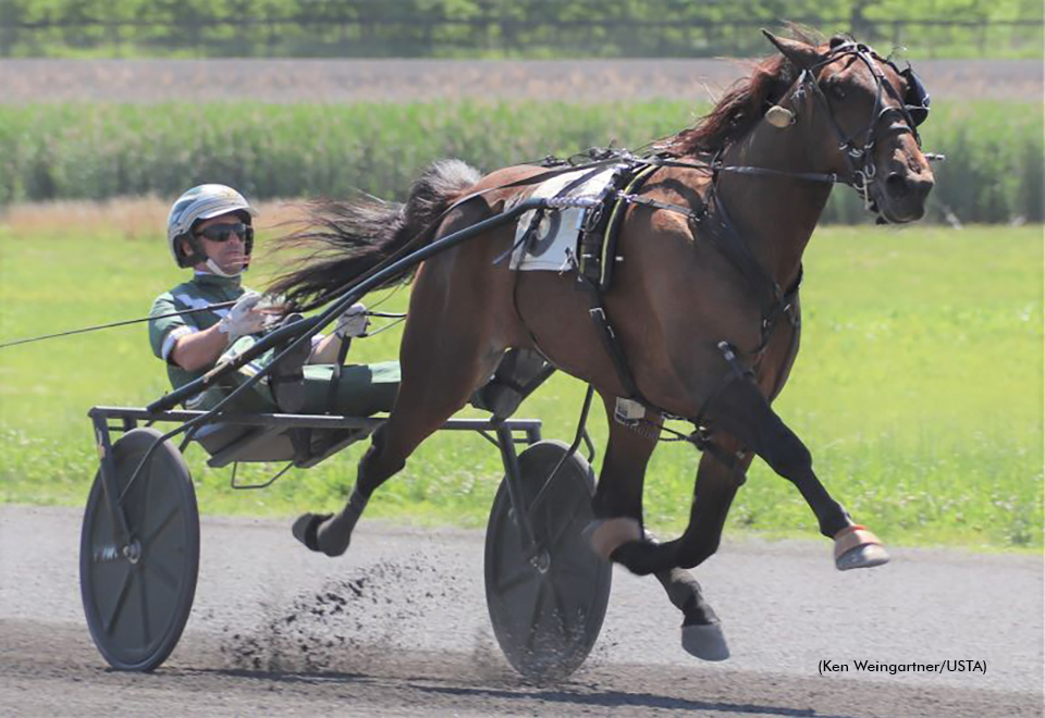 In Italian winning her qualifying debut on June 6 at Gaitway Farm