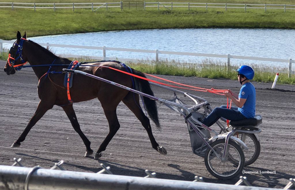 Jaden Lambert jogging a Standardbred racehorse