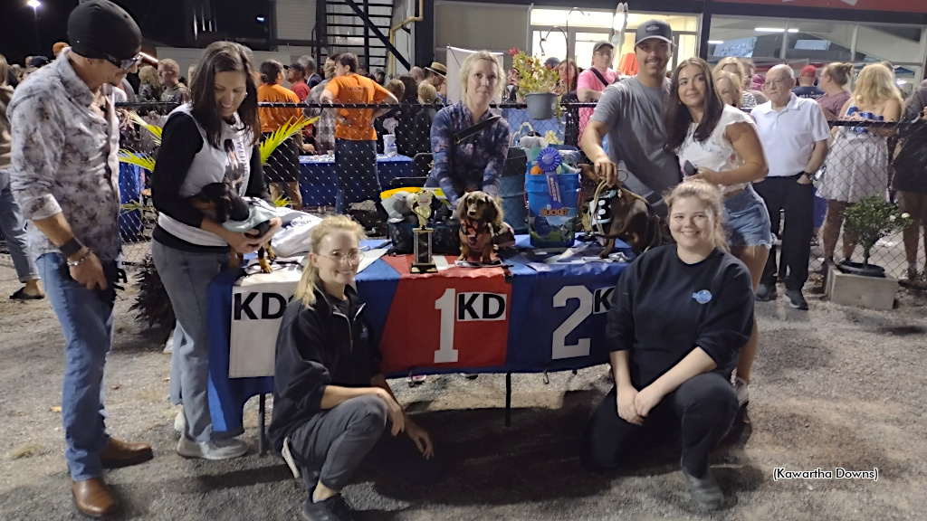 Weiner Dogs at Kawartha Downs