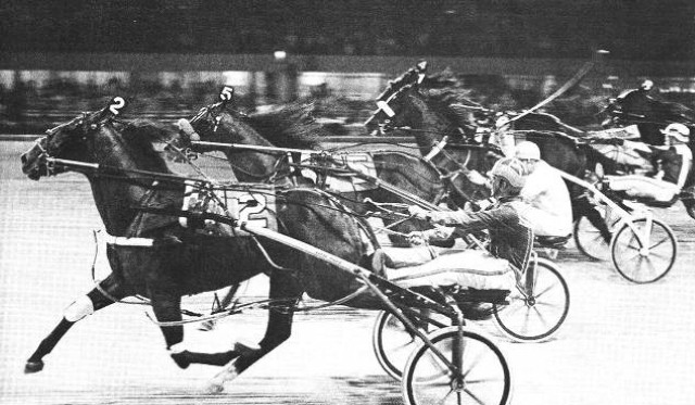 Horses racing down a track