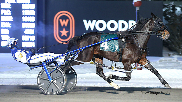 Linedrive Hanover winning the Snowshoe Pacing Series final