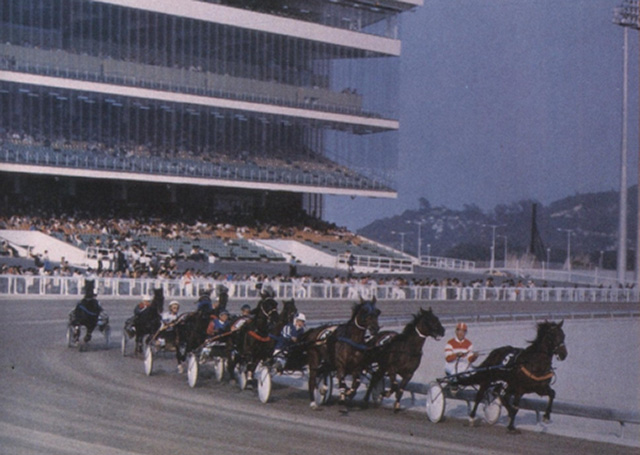 Horses racing into the turn at Macau, showing the grandstand with large windows