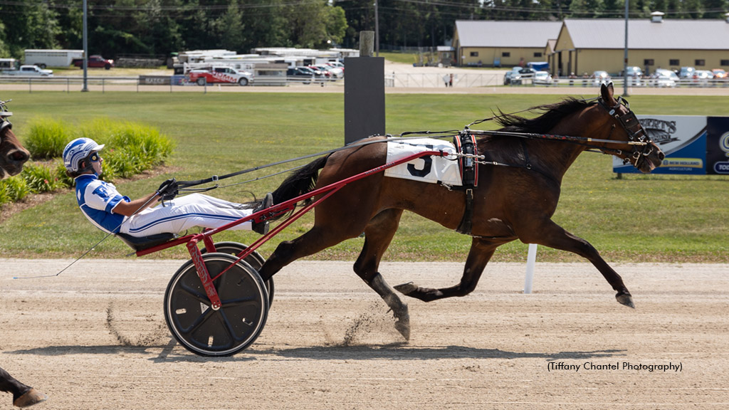 Magic Dealer winning at Hanover Raceway