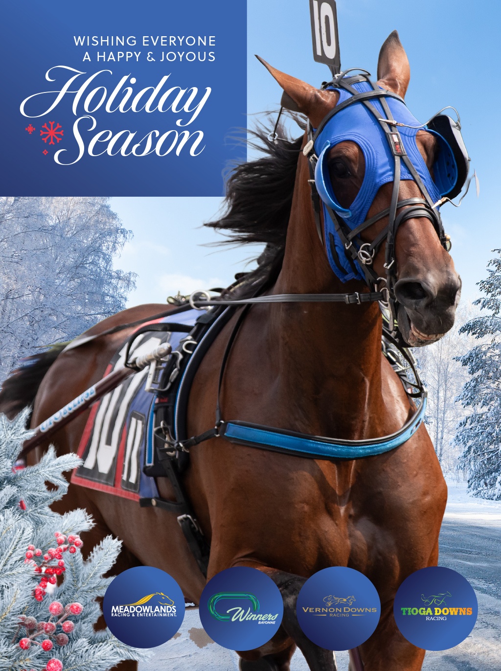 Meadowlands, Tioga and Vernon Downs