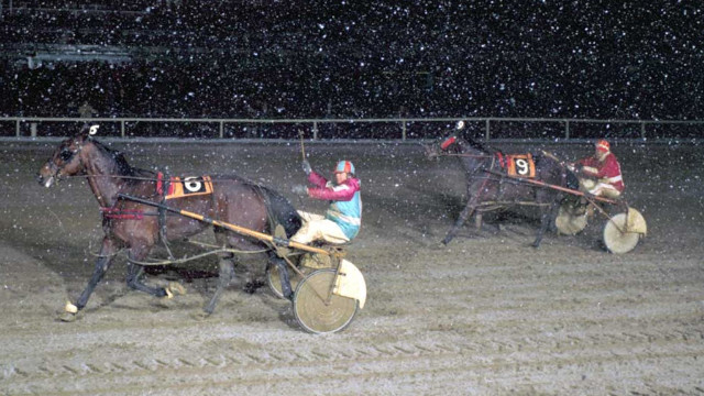 Medallion Lobell and Marty Adler