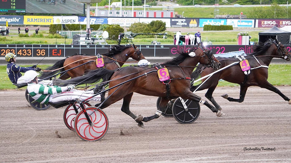 Mister F Daag in the second trial of the Elitloppet