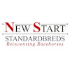 New Start Standardbreds