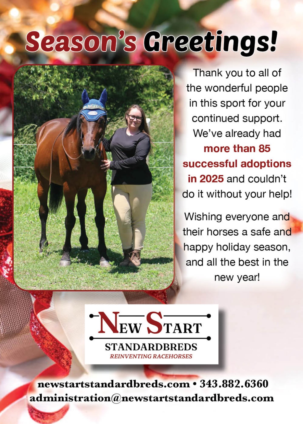 New Start Standardbreds