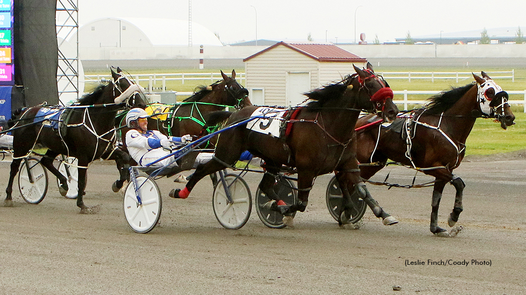 Nicotime winning at Century Downs