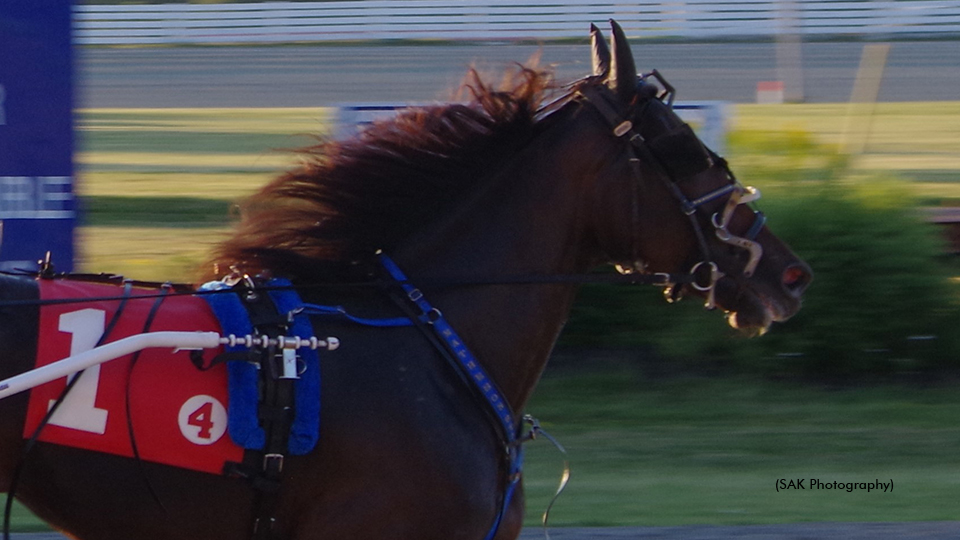Outrageous Style winning at Truro Raceway