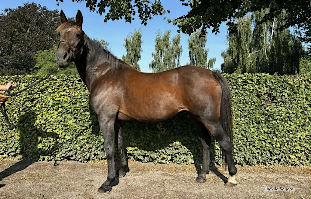 Peaceful Way in 2024