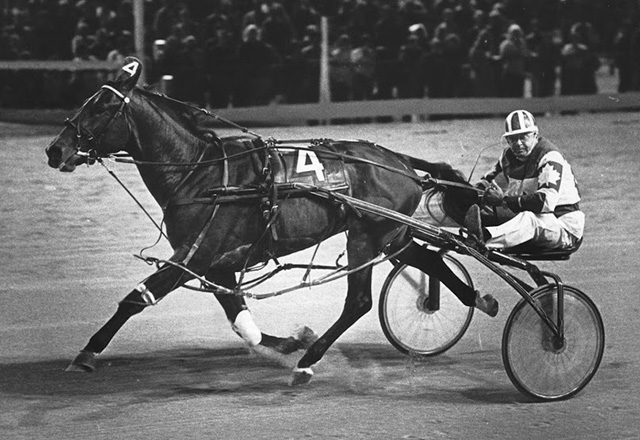 A harness horse racing