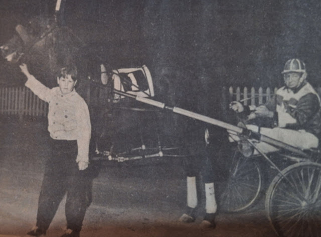 A harness horse in the winner's circle