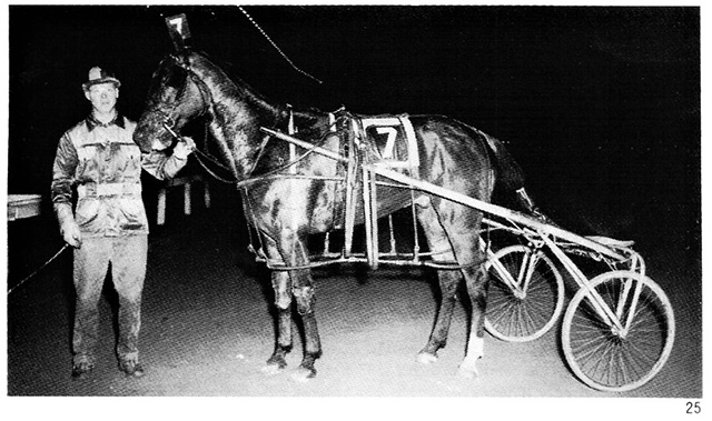 A man holding a harness horse in the winner's circle