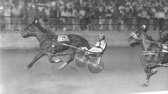 A horse racing at Western Fai