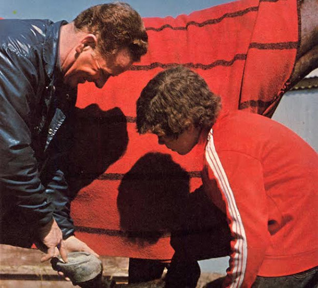 A man and his son work on a horse's hoof